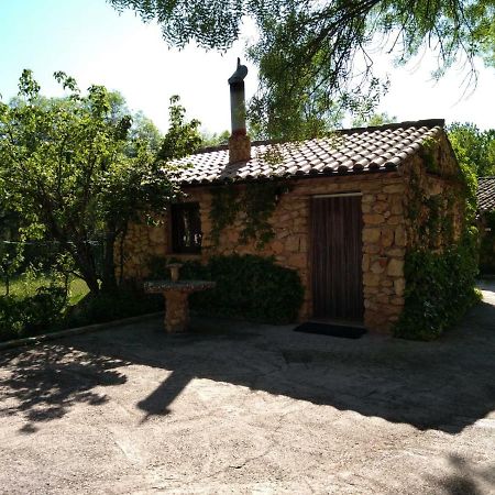 Casas Rurales Picos Del Oso Riópar エクステリア 写真