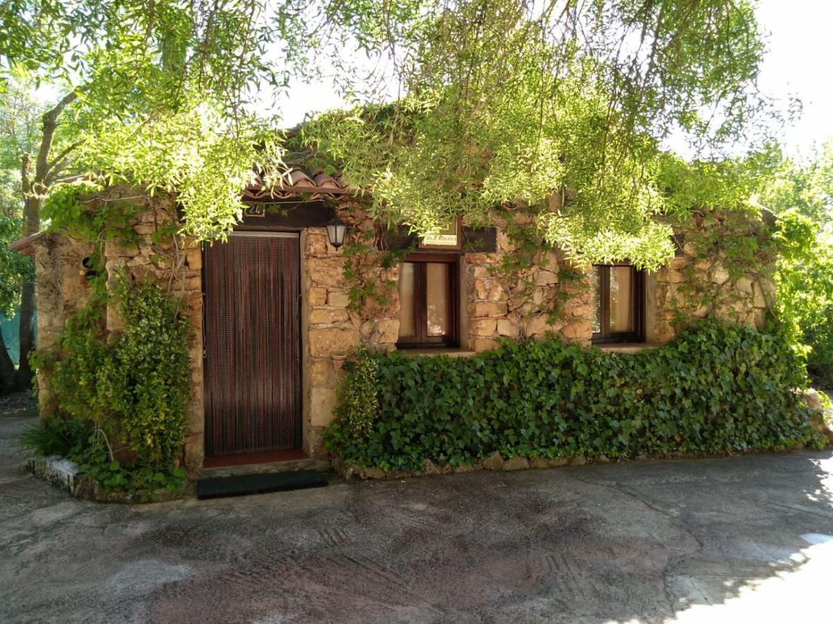 Casas Rurales Picos Del Oso Riópar エクステリア 写真