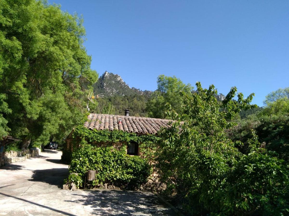 Casas Rurales Picos Del Oso Riópar エクステリア 写真